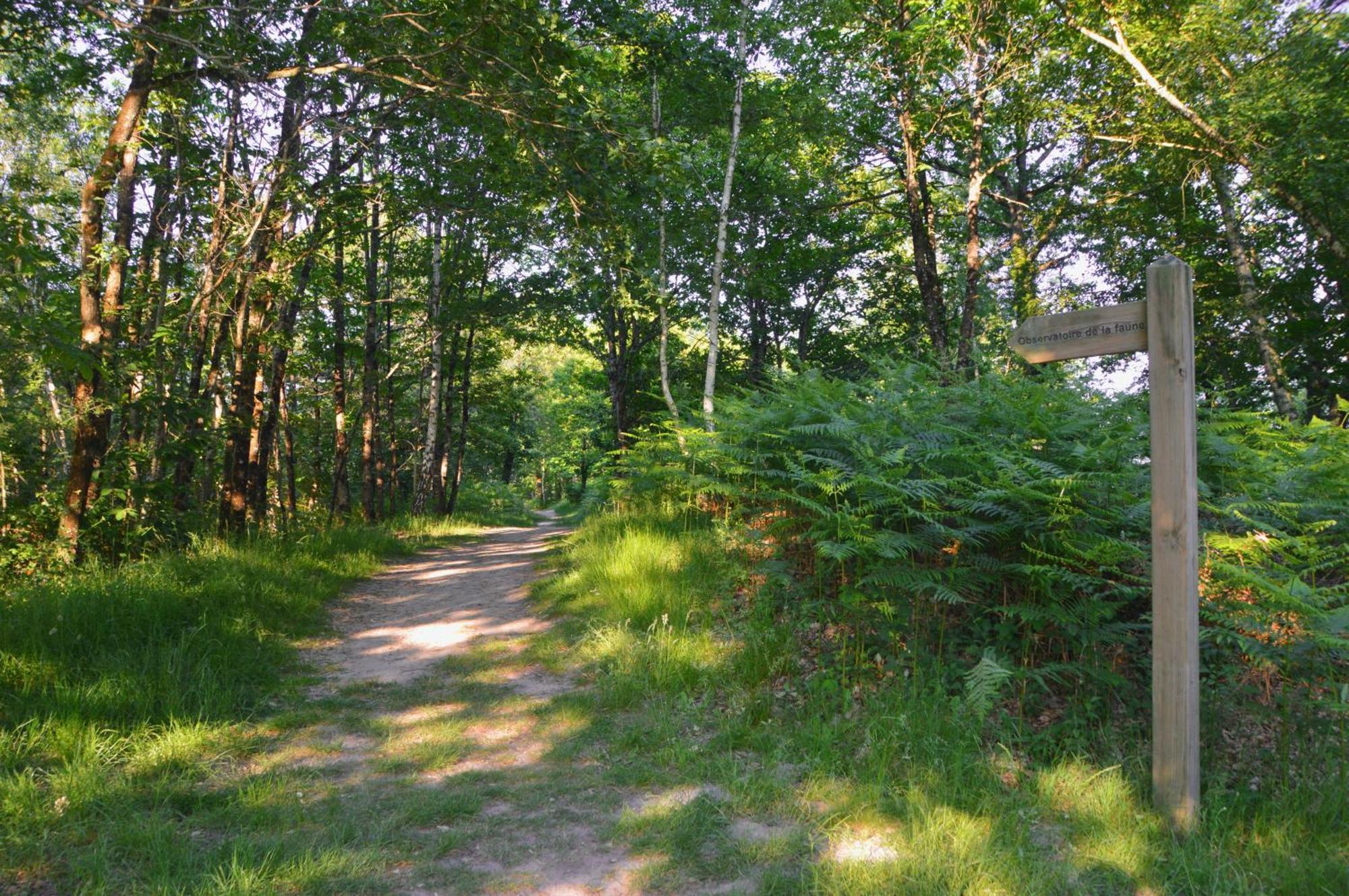 Gite De Charme En Sologne, Sejour En Famille, Jardin, Riviere, Jeux, Nature & Detente Aubigny-sur-Nere Exterior photo